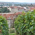 Prague - Mala Strana et Chateau 064
